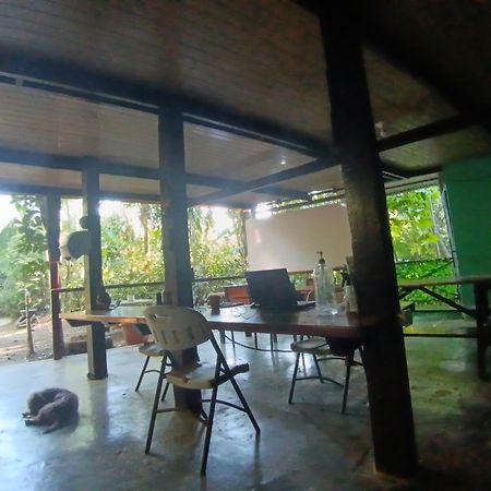 Drakes Bay Nativos Corcovado Cabins מראה חיצוני תמונה